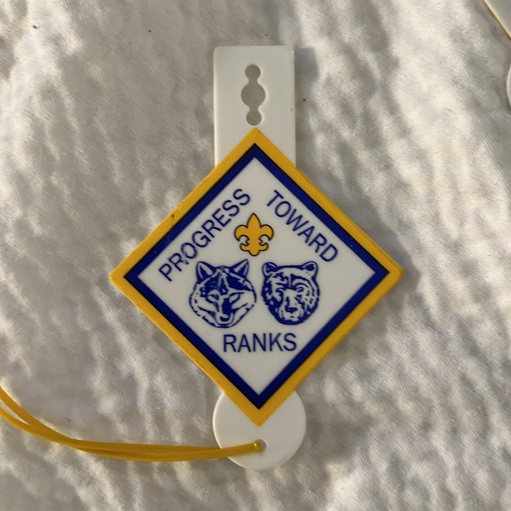 Cub Scouts progress toward ranks pocket badge